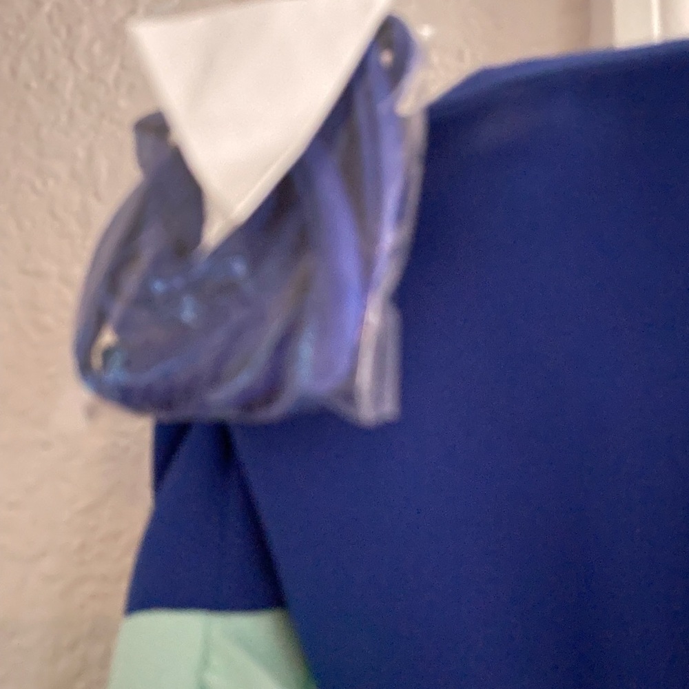 Brand new dress purchased for a wedding that I wasn’t able to attend.